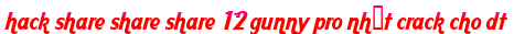 hack share share share 12 gunny pro nhất crack cho dt moi